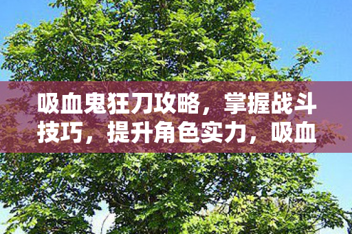 吸血鬼狂刀攻略图片