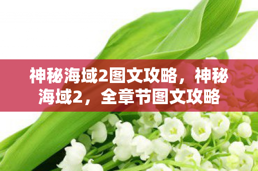 神秘海域2图文攻略，神秘海域2，全章节图文攻略