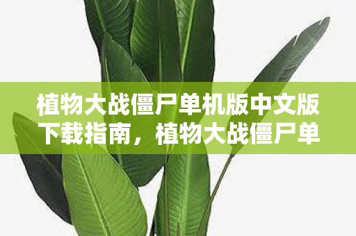 植物大战僵尸单机版中文版下载全攻略图片