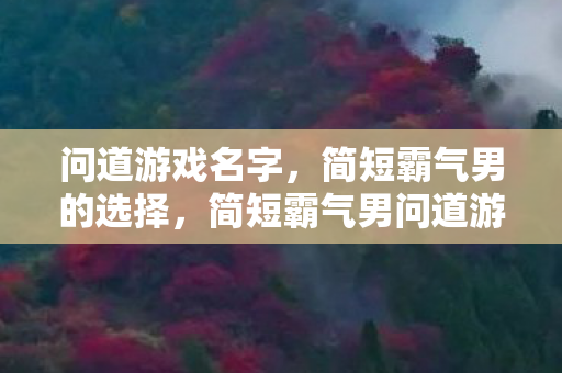 问道游戏名字,简短霸气男的选择,简短霸气男问道游戏名字推荐 问道游戏名字,简短霸气男的选择,简短霸气男问道游戏名字推荐