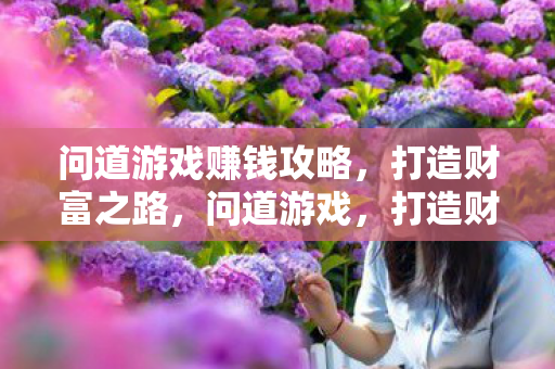 问道游戏赚钱攻略，打造财富之路，问道游戏，打造财富之路的赚钱攻略