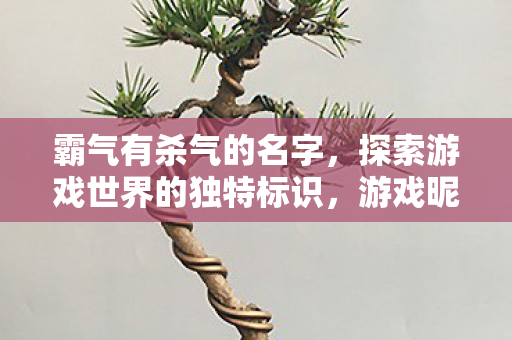 霸气有杀气的名字,探索游戏世界的独特标识,游戏昵称,霸气有杀气,探索游戏世界的独特标识 霸气有杀气的名字,探索游戏世界的独特标识,游戏昵称,霸气有杀气,探索游戏世界的独特标识