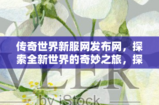 探索全新世界的奇妙之旅图片