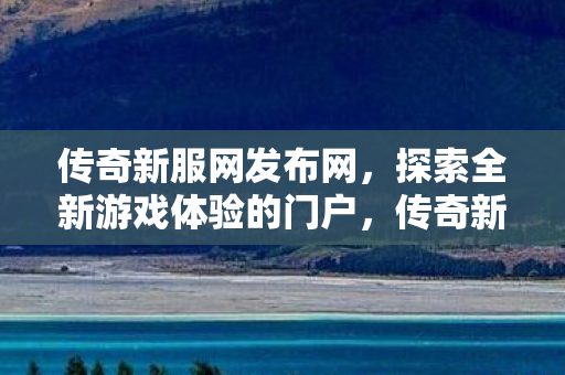 探索全新游戏体验的门户图片