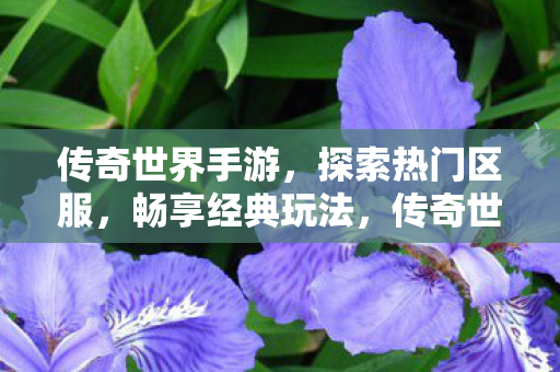 传奇世界手游图片