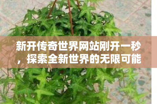 新开传奇世界网站刚开一秒图片