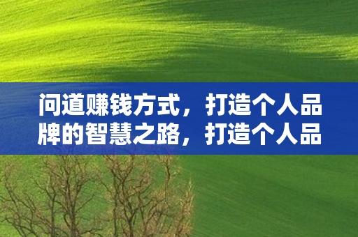 问道赚钱方式，打造个人品牌的智慧之路，打造个人品牌，智慧之路上的赚钱方式