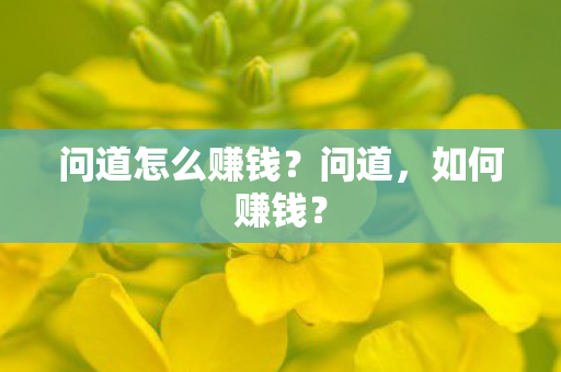 问道怎么赚钱?问道,如何赚钱? 问道怎么赚钱?问道,如何赚钱?