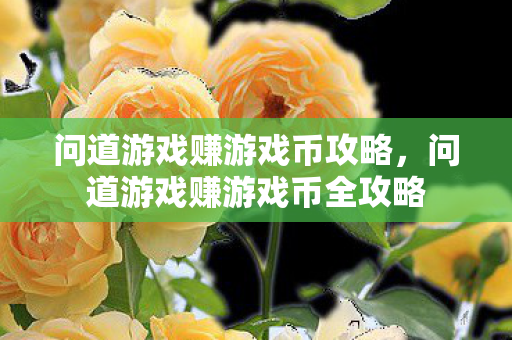 问道游戏赚游戏币攻略，问道游戏赚游戏币全攻略