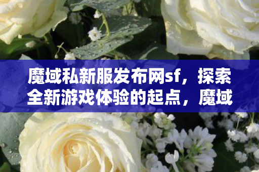 探索全新游戏体验的起点图片