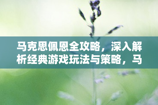 深入解析经典游戏玩法与策略图片