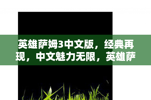 英雄萨姆3中文版图片