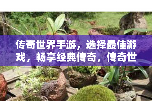 畅享最佳游戏体验图片