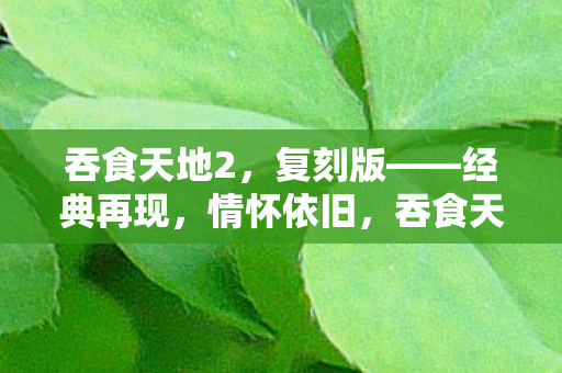 吞食天地2复刻版图片