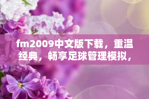 fm2009中文版下载图片