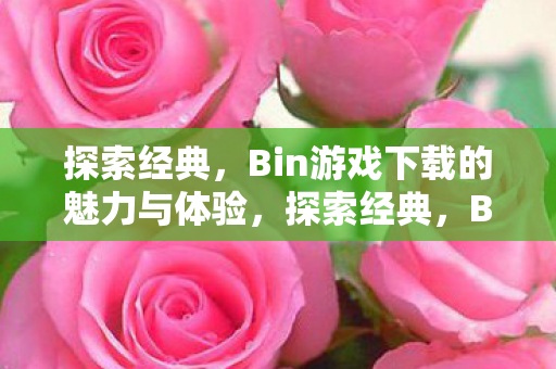 探索经典,Bin游戏下载的魅力与体验,探索经典,Bin游戏下载的魅力与体验 探索经典,Bin游戏下载的魅力与体验,探索经典,Bin游戏下载的魅力与体验
