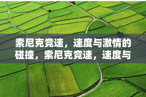 索尼克竞速，速度与激情的碰撞，索尼克竞速，速度与激情的碰撞盛宴
