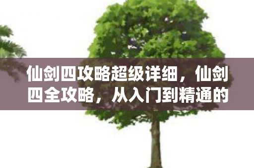 从入门到精通的详细指南图片