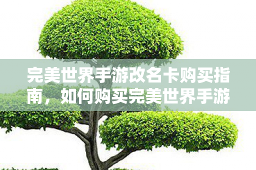 完美世界手游改名卡购买指南图片