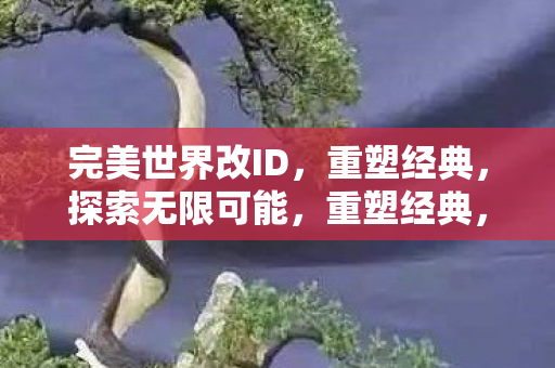 完美世界改ID图片