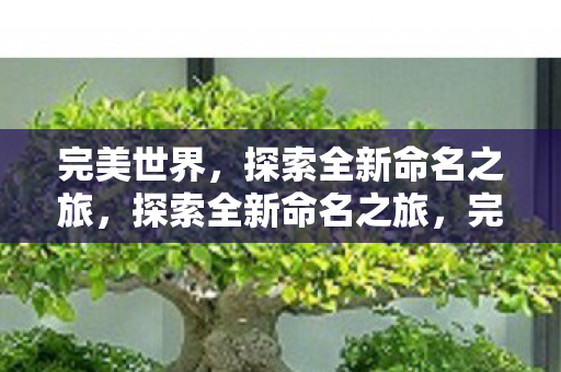 完美世界的命名艺术图片