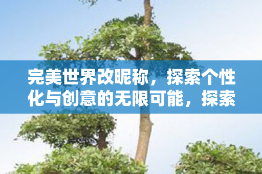 探索个性化与创意的无限可能图片