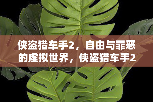 自由与罪恶的虚拟世界之旅图片