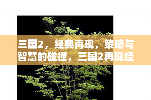 策略与智慧激烈碰撞图片