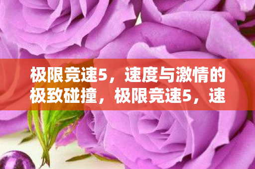 速度与激情的极致碰撞图片