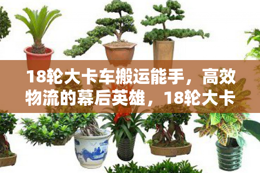 18轮大卡车搬运能手图片