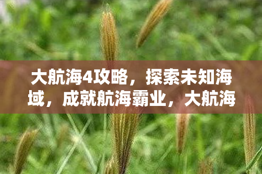 成就航海霸业攻略图片
