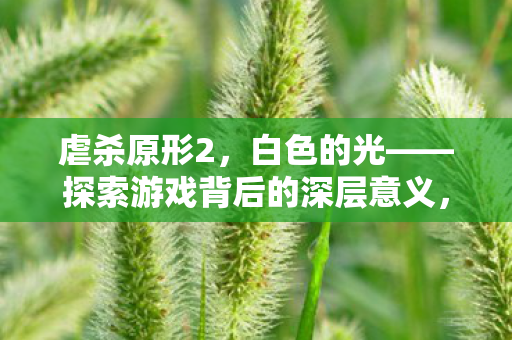 白色之光背后的深层意义探索图片