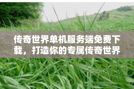 传奇世界单机服务端免费下载图片