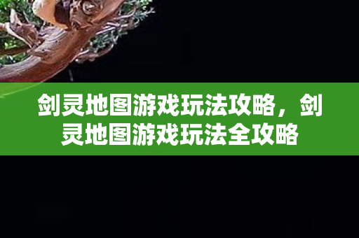 剑灵地图游戏玩法全攻略图片