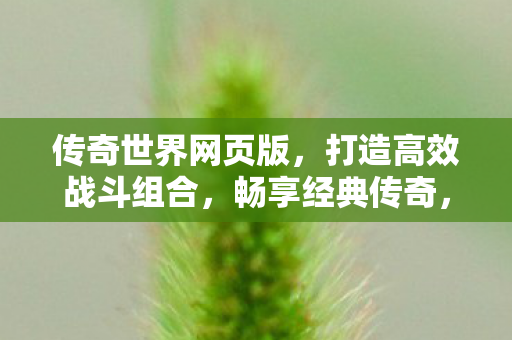 打造高效战斗组合图片