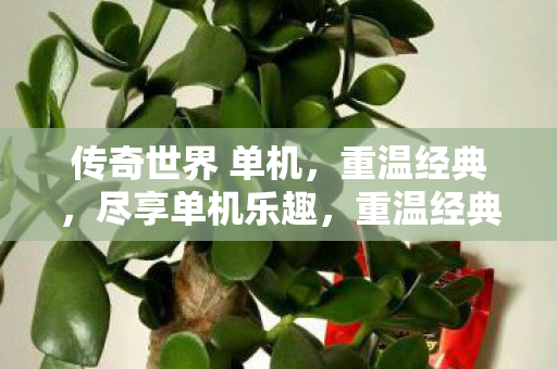 传奇世界单机版尽享单机乐趣图片