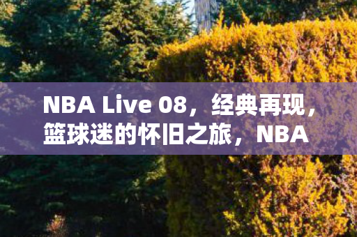 NBA Live 08图片
