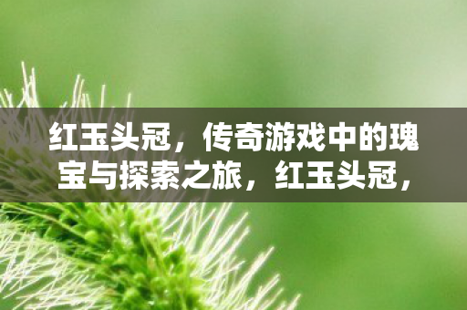 传奇游戏中的瑰宝与探索之旅图片