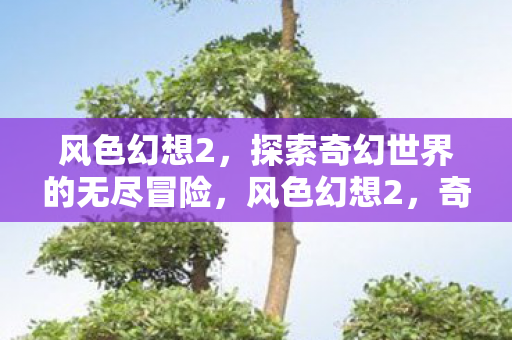 探索奇幻世界的无尽冒险图片