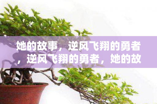 逆风飞翔的勇者图片