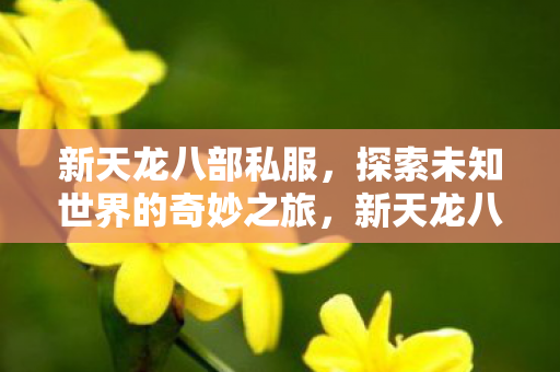 探索未知世界的奇妙冒险之旅图片