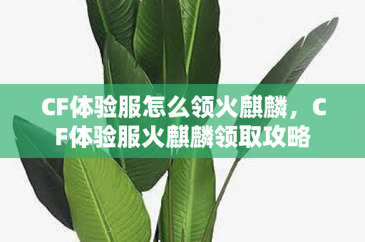 CF体验服火麒麟领取攻略图片