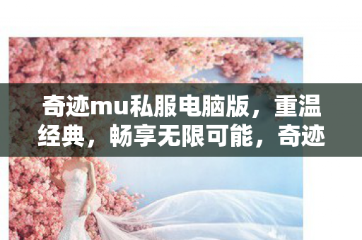 奇迹mu私服电脑版图片