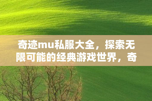 探索无限可能的经典游戏世界图片