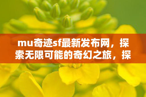 mu奇迹sf最新发布网引领奇幻之旅图片