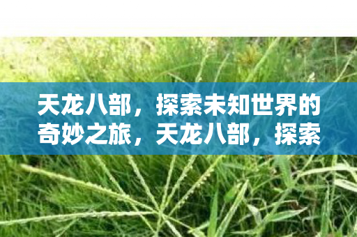探索未知世界的奇妙之旅图片