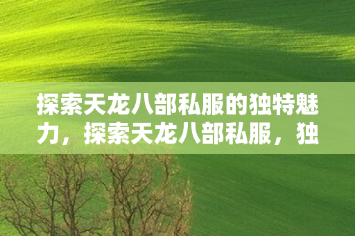 探索天龙八部私服的独特魅力图片