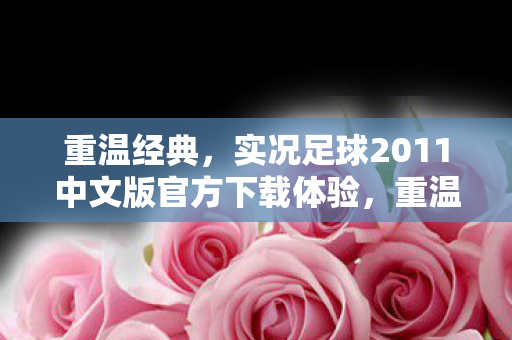 实况足球2011中文版官方下载体验图片