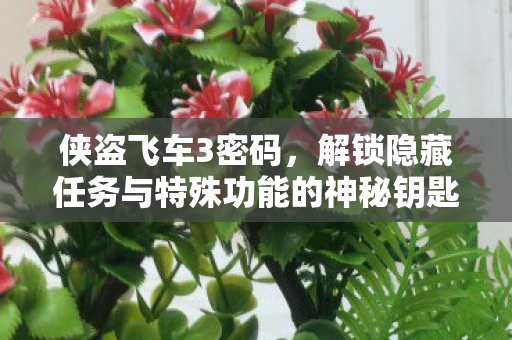 揭秘侠盗飞车3隐藏任务与特殊功能解锁密码图片