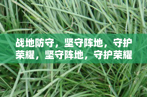 战地防守的荣耀之战图片